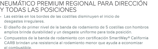 NEUM TICO PREMIUM REGIONAL PARA DIRECCI N Y TODAS LAS POSICIONES • Las estr as en los bordes de las costillas disminu...