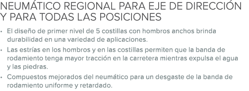 NEUM TICO REGIONAL PARA EJE DE DIRECCI N Y PARA TODAS LAS POSICIONES • El dise o de primer nivel de 5 costillas con h...