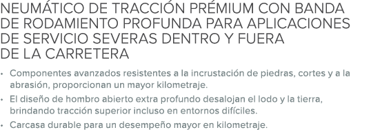 NEUM TICO DE TRACCI N PR MIUM CON BANDA DE RODAMIENTO PROFUNDA PARA APLICACIONES DE SERVICIO SEVERAS DENTRO Y FUERA D...