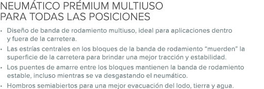 NEUM TICO PR MIUM MULTIUSO PARA TODAS LAS POSICIONES • Dise o de banda de rodamiento multiuso, ideal para aplicacione...