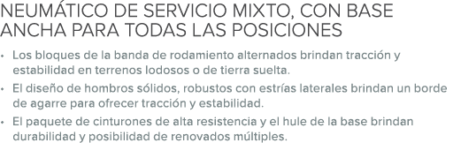 NEUM TICO DE SERVICIO MIXTO, CON BASE ANCHA PARA TODAS LAS POSICIONES • Los bloques de la banda de rodamiento alterna...