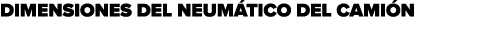 Dimensiones del neum tico del cami n