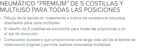 NEUM TICO “PREMIUM” DE 5 COSTILLAS Y MULTIUSO PARA TODAS LAS POSICIONES • Dibujo de la banda de rodamiento e ndice d...