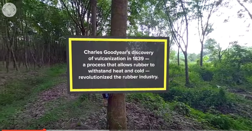 Double Coin Thai plant - goodyear factoid