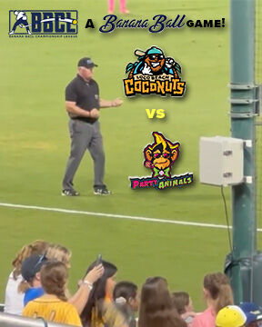 Image for the Tweet beginning: BIG calls, bright lights, and